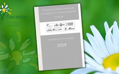 Memoria de Actividades de FLACEMA 2019