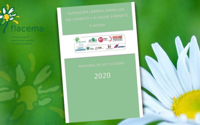 Memoria de Actividades de FLACEMA 2020